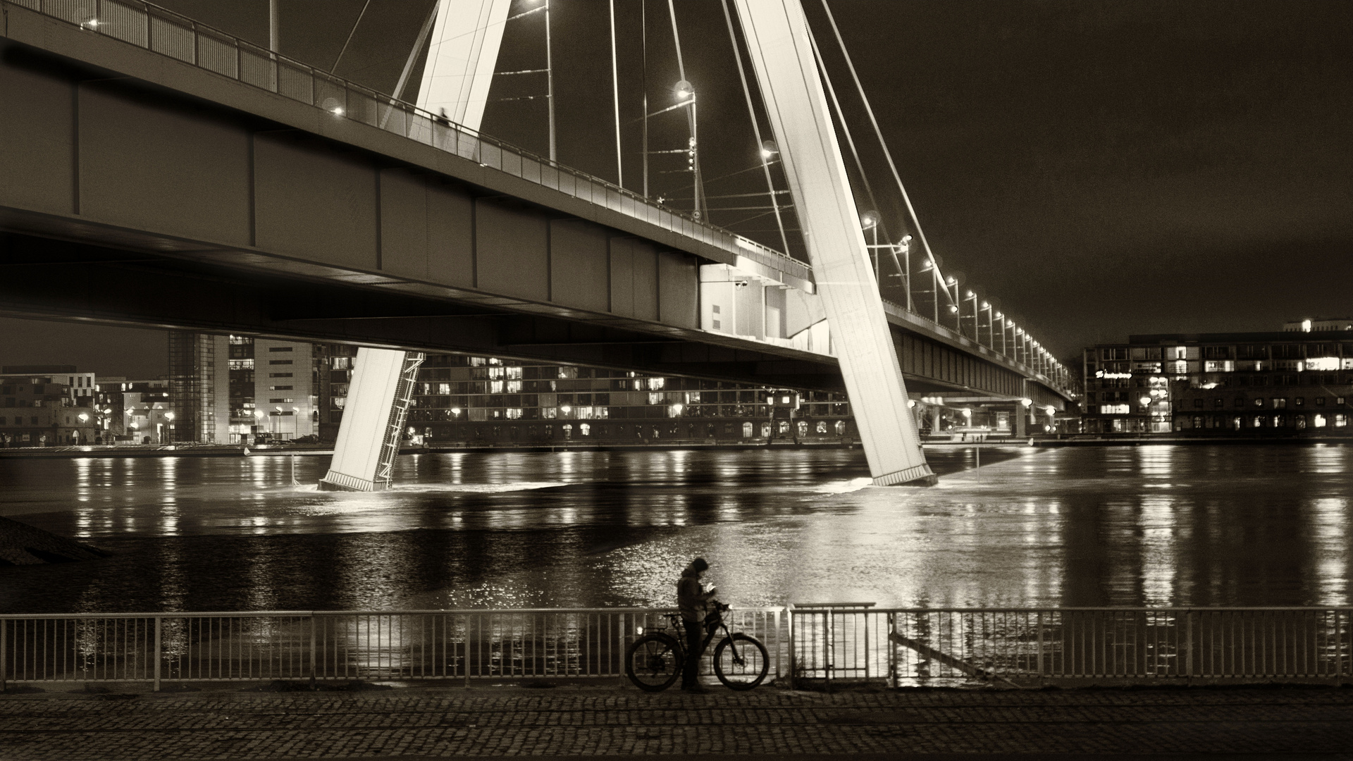 Rhein Hochwasser 2018 in Köln