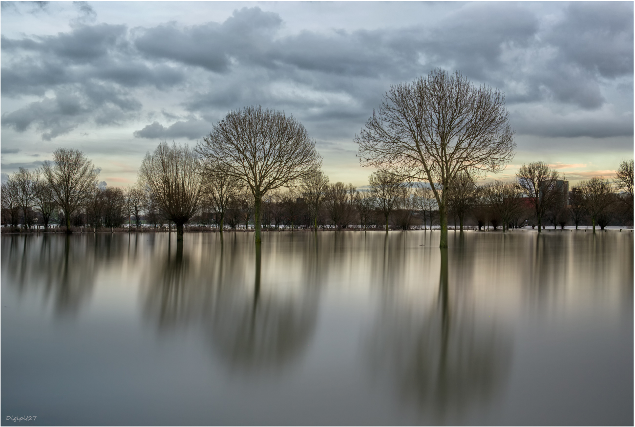 Rhein Hochwasser 2021-01