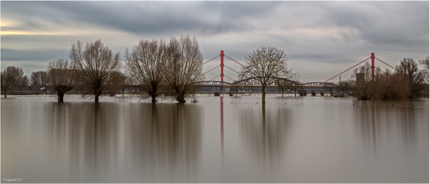 Rhein Hochwasser 2021-02