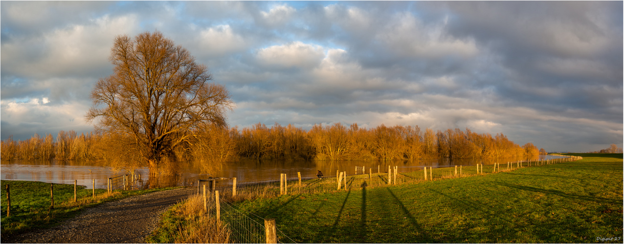 Rhein Hochwasser 2021-04