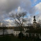 Rhein / Hochwasser