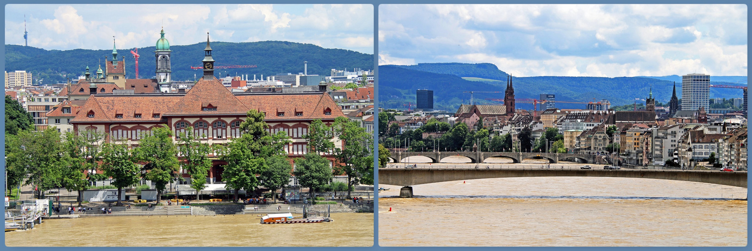 Rhein Hochwasser