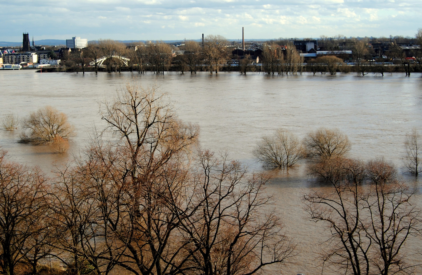 Rhein-Hochwasser