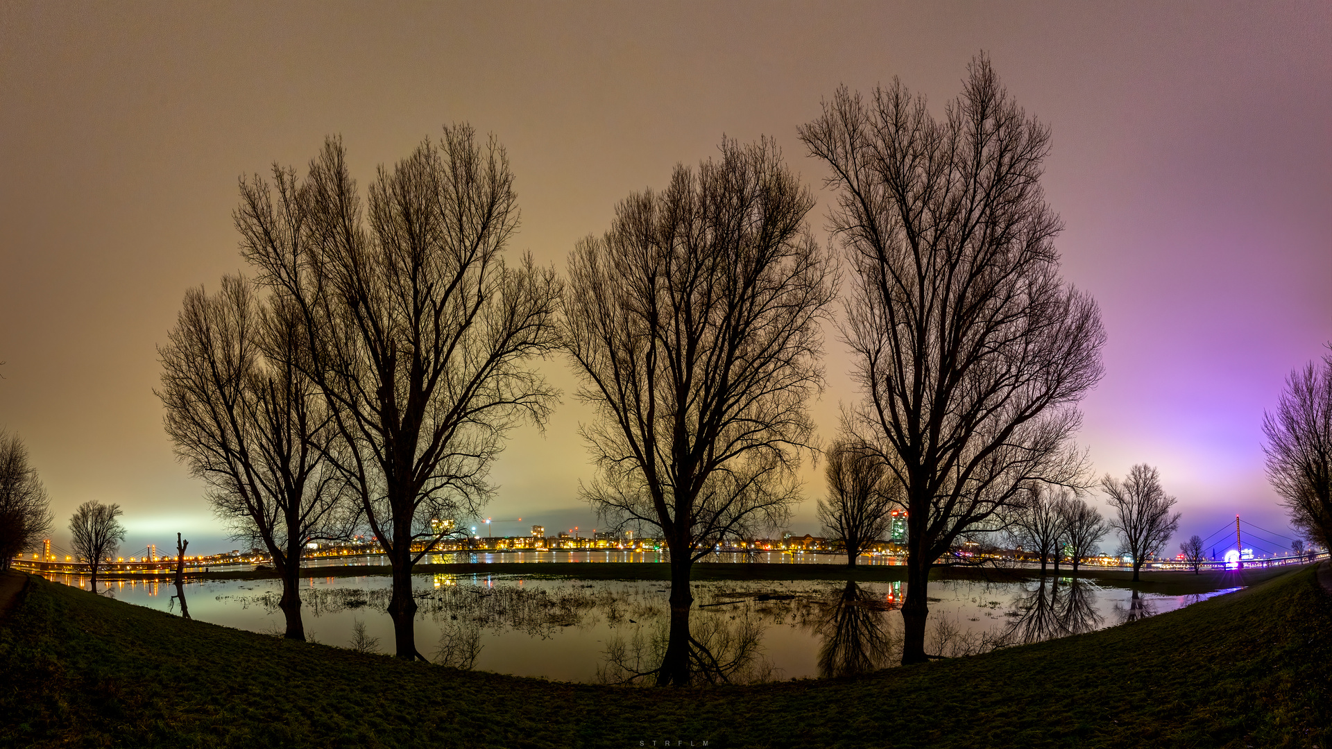 Rhein-Hochwasser