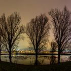 Rhein-Hochwasser