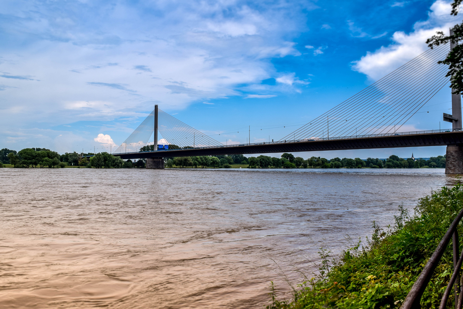 Rhein-Hochwasser