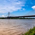 Rhein-Hochwasser