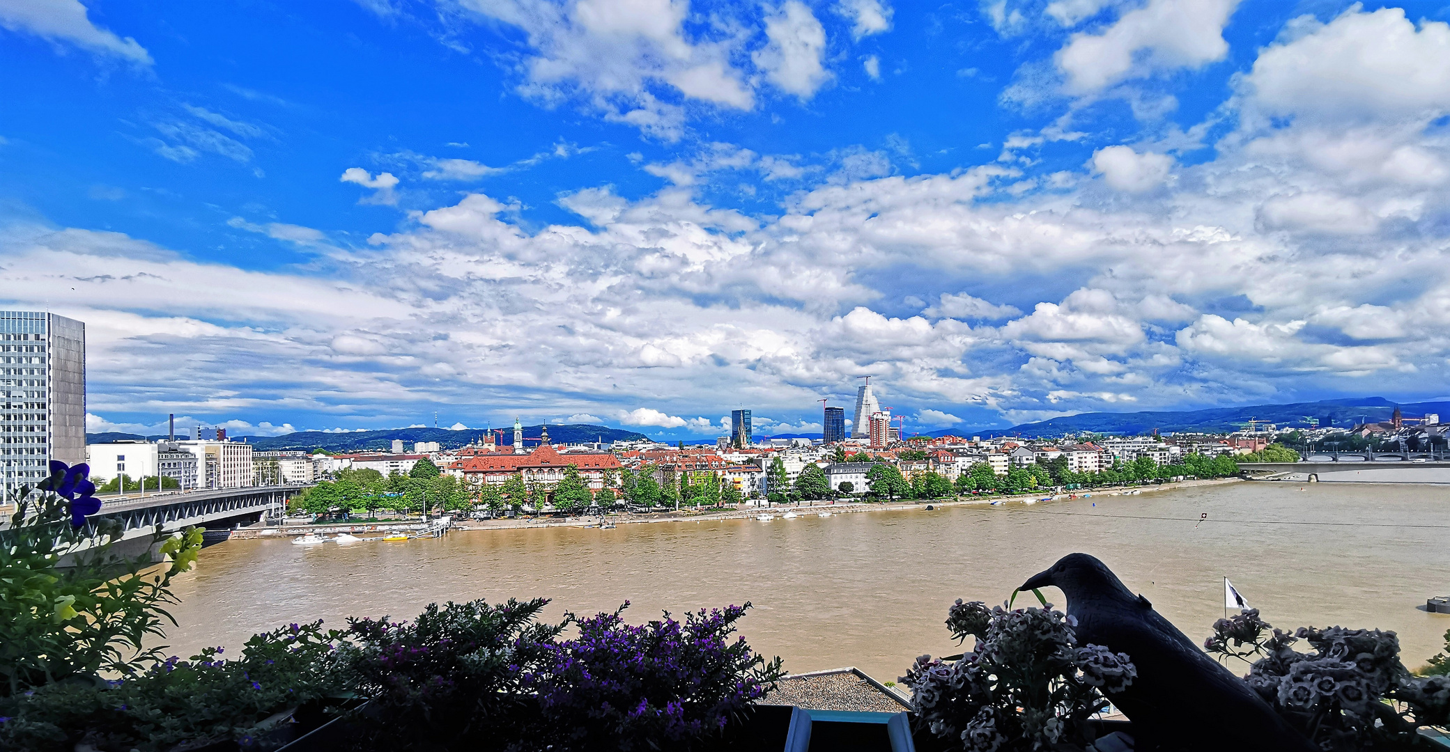 Rhein Hochwasser