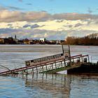 Rhein Hochwasser in Bonn