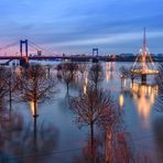 Rhein Hochwasser in Duisburg