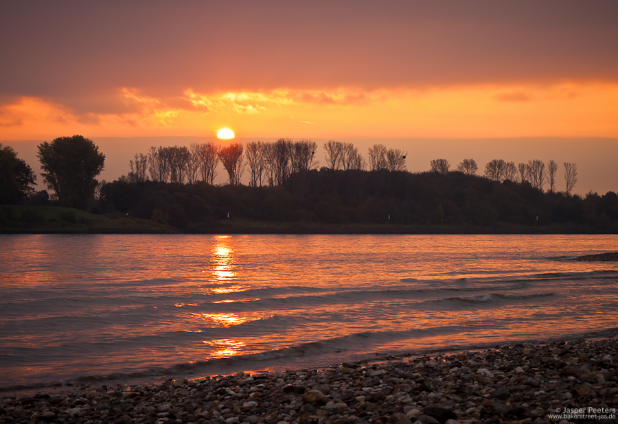 Rhein I