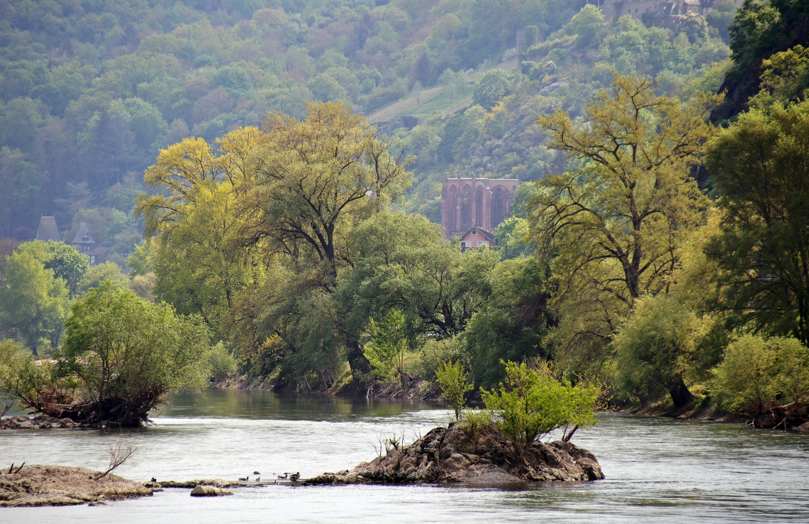 Rhein - Idylle