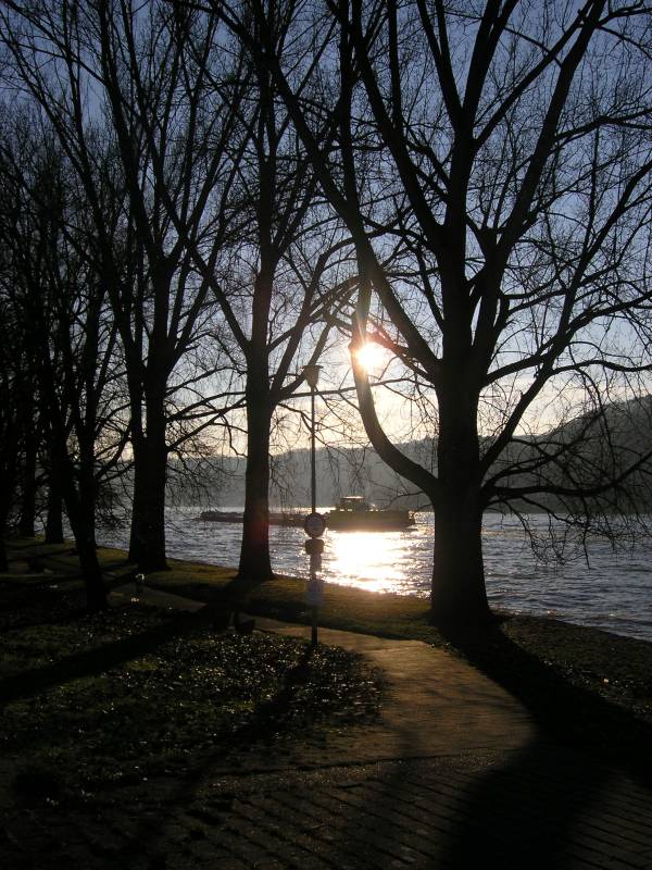 Rhein im Dezember