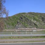 Rhein im Frühling