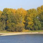 Rhein im Herbst