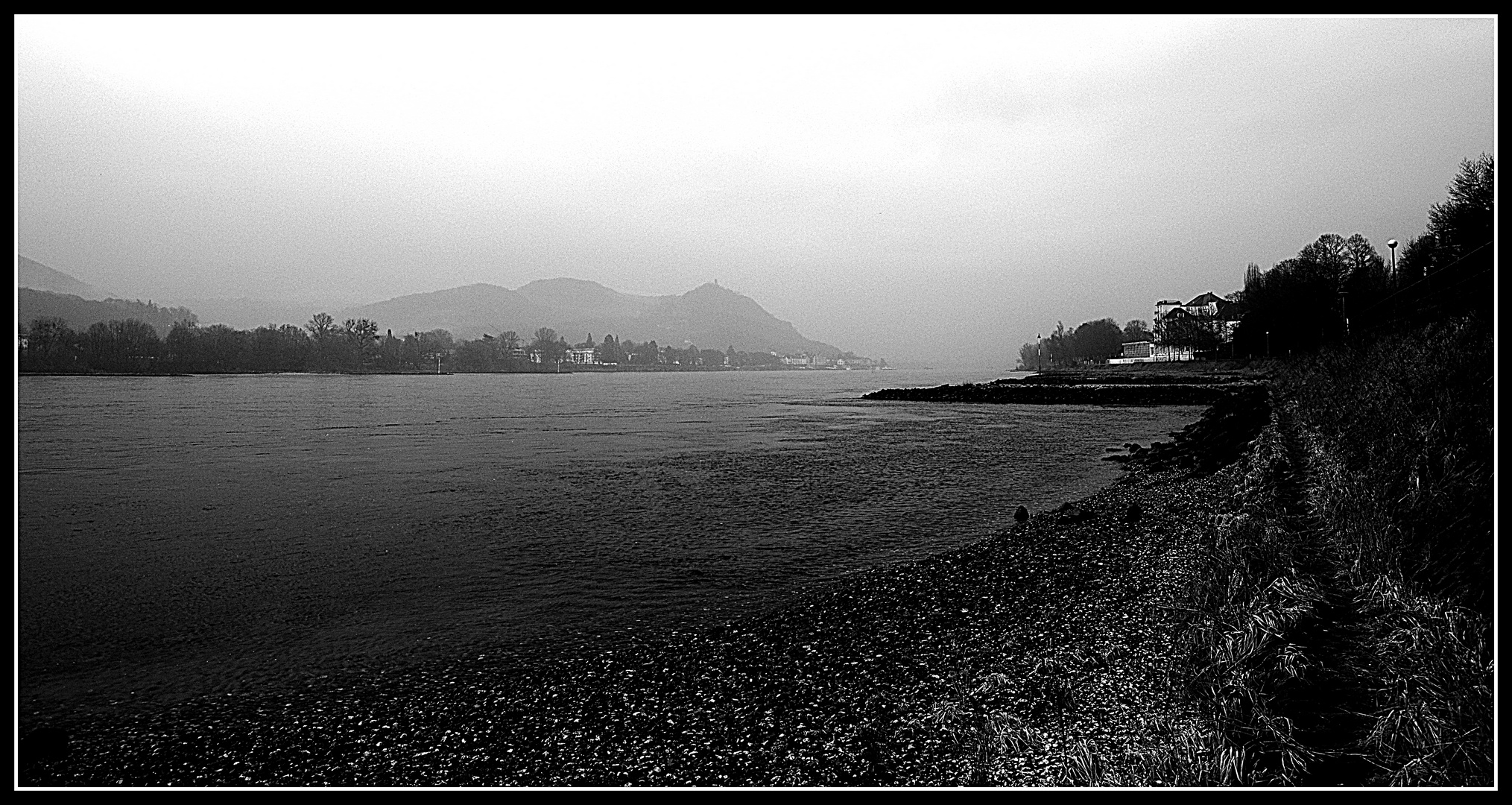 Rhein im Nebel