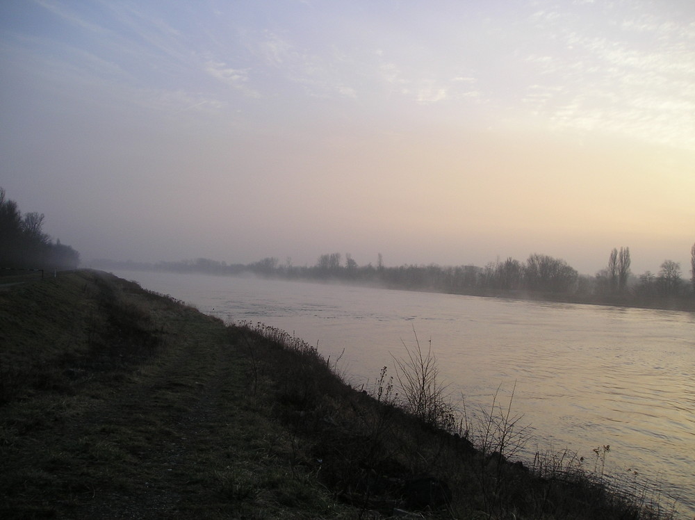 Rhein im Nebel