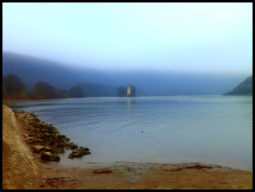 Rhein im Nebel