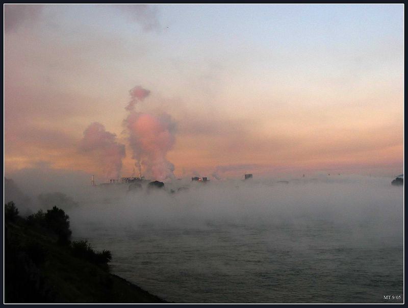 Rhein im Nebel