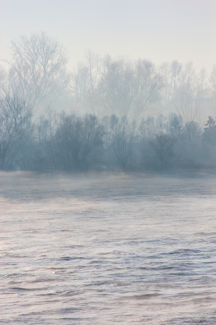 Rhein im Nebel