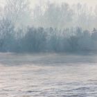 Rhein im Nebel