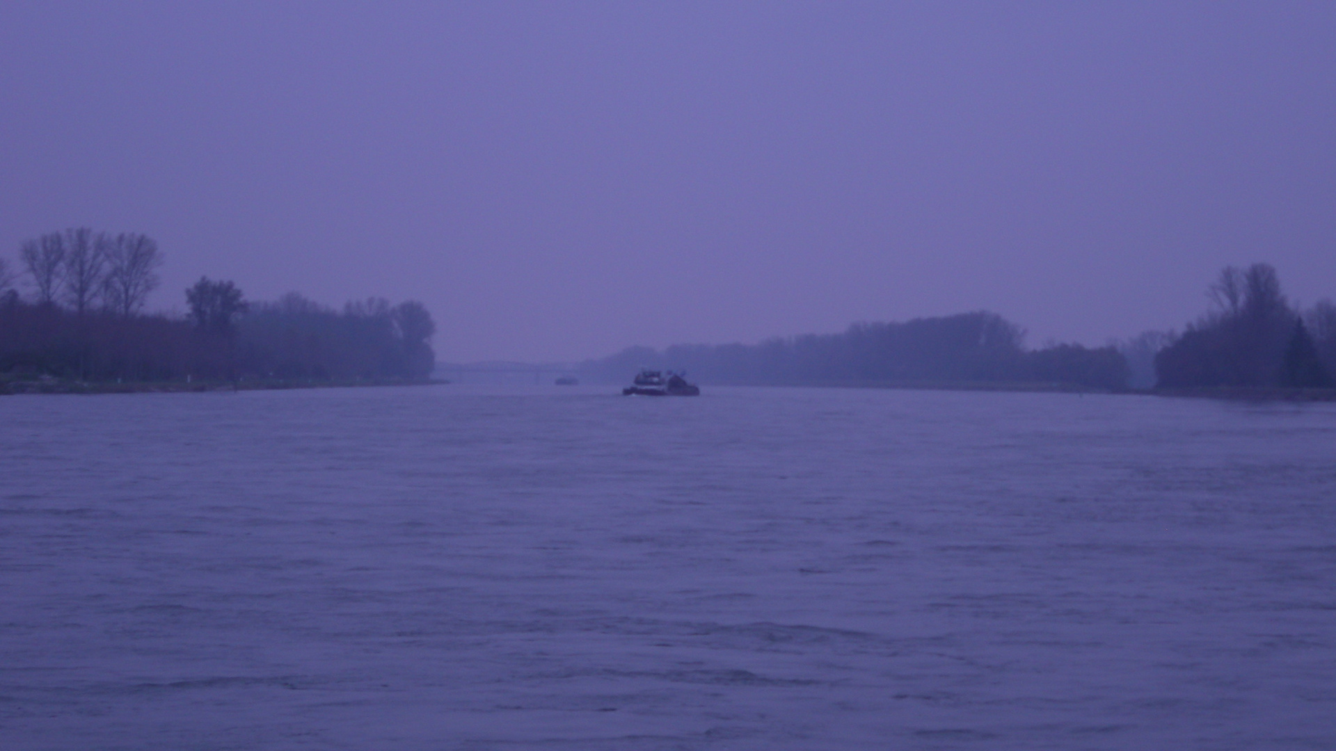 Rhein im November