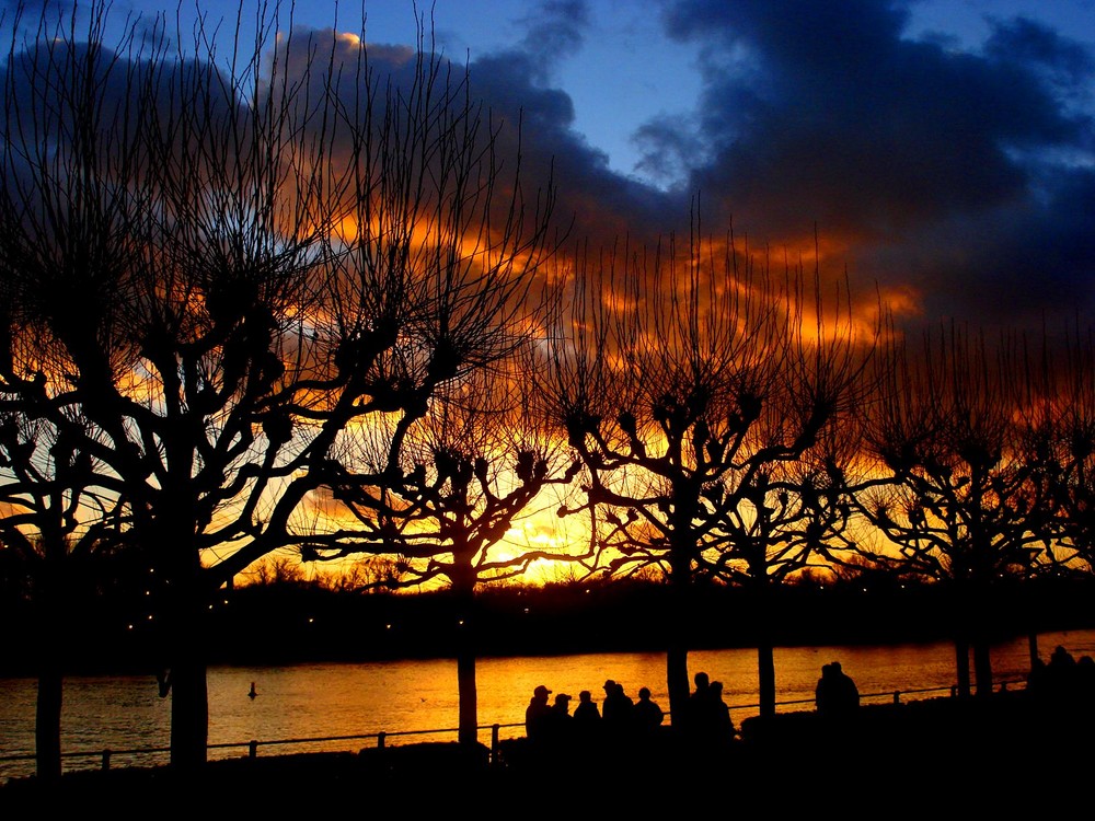 Rhein im Sonnenuntergang Teil2