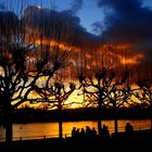 Rhein im Sonnenuntergang Teil2