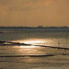 Rhein im Winter