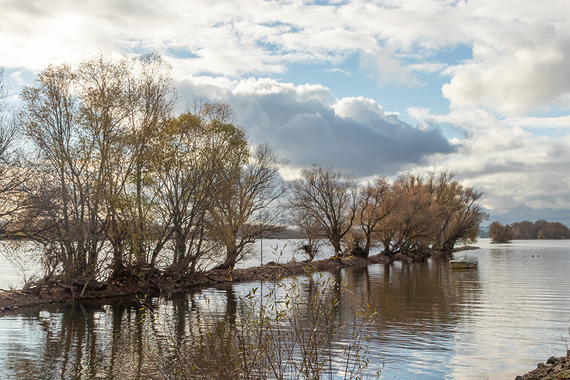 Rhein im Winter3