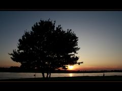 Rhein Impressionen