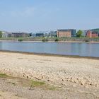 Rhein in Bonn