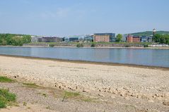 Rhein in Bonn