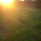 Rhein in den Sonnenuntergang