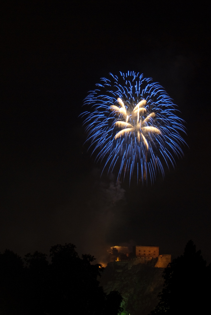 Rhein in Flammen 2011 / 3