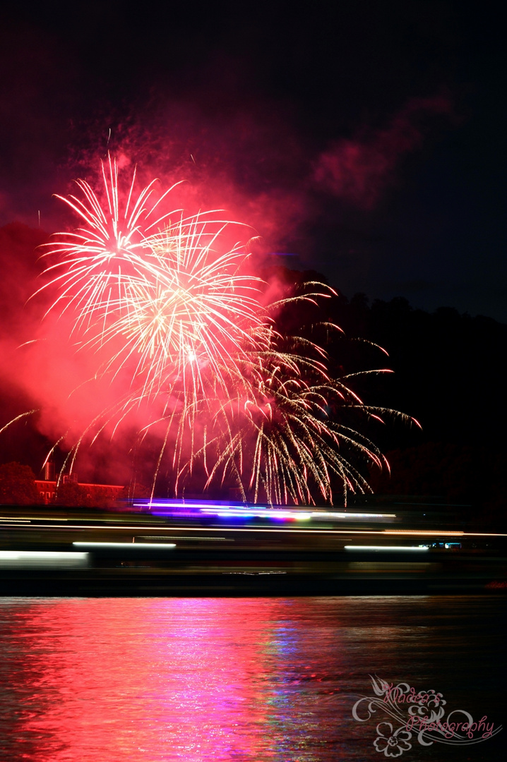 Rhein in Flammen 2013 Koblenz II