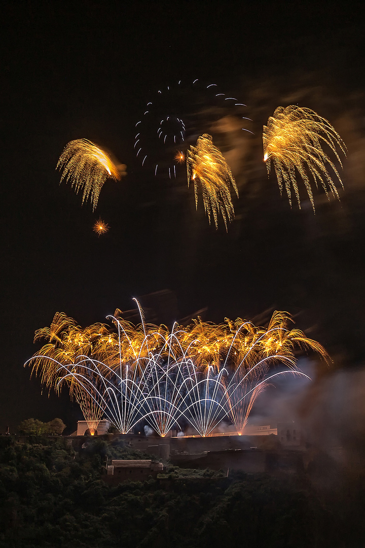 Rhein in Flammen 2016 (2)