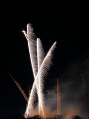 Rhein in Flammen 2016, Bonn