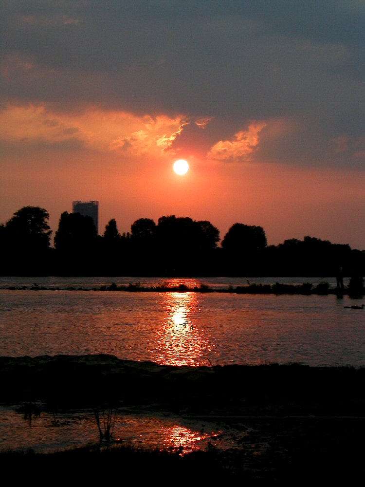 Rhein in Flammen