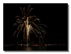 Rhein in Flammen Bingen / Rüdesheim 7