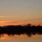 Rhein in Flammen