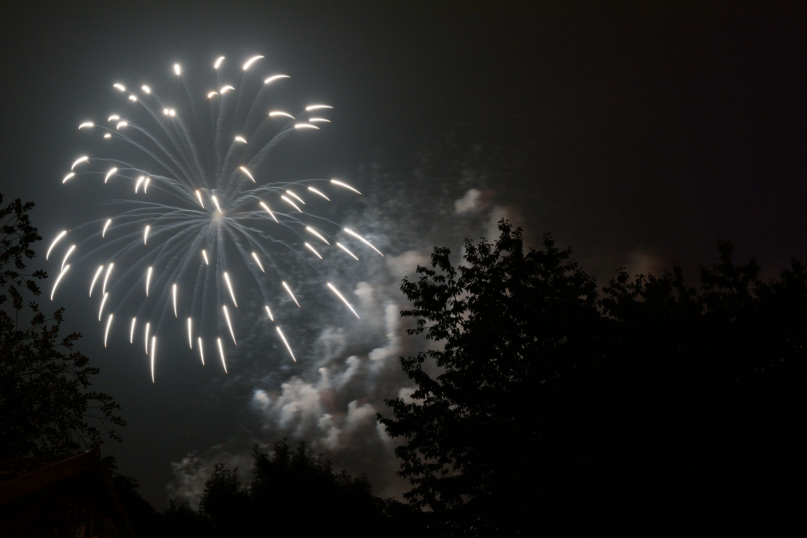 Rhein in Flammen Koblenz 2015 /2