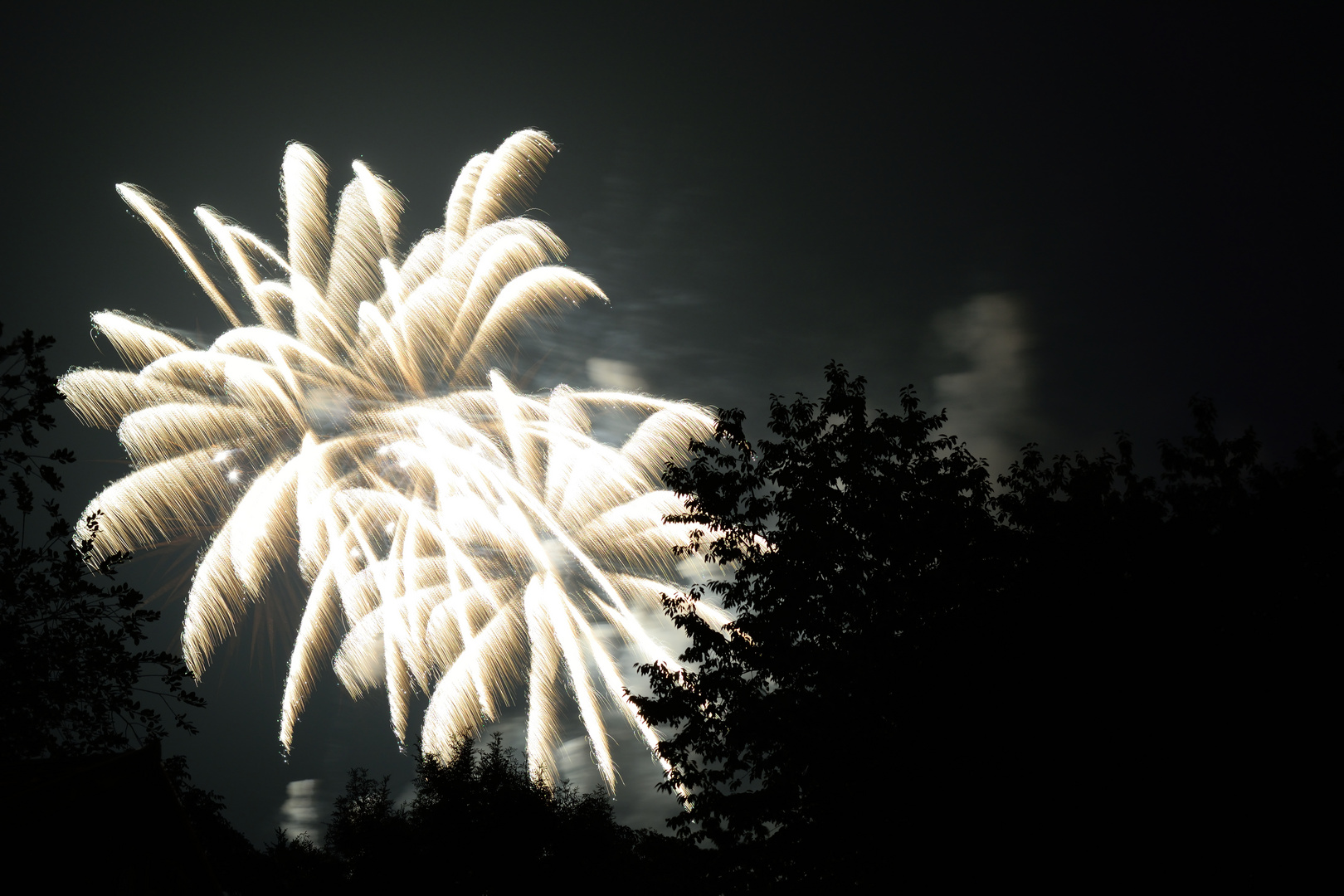 Rhein in Flammen Koblenz 2015 /3