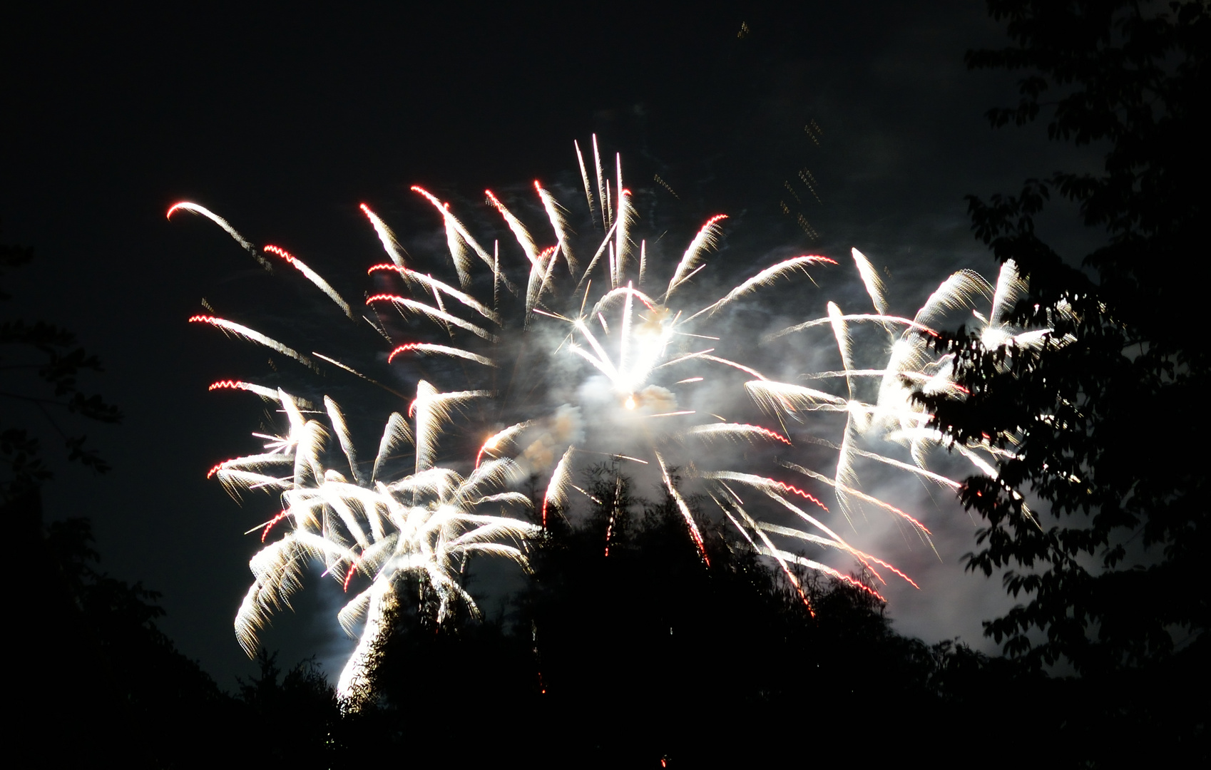 Rhein in Flammen Koblenz 2015 /4