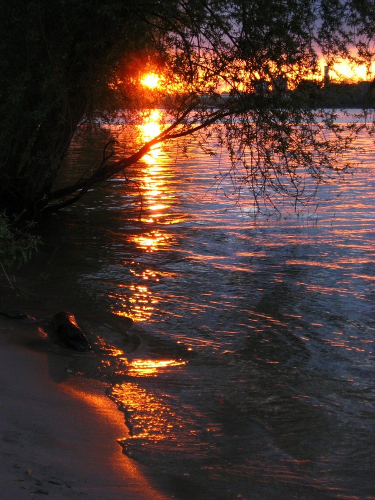 Rhein in Flammen - mal anders