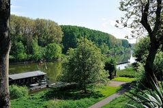 Rhein in Hersel