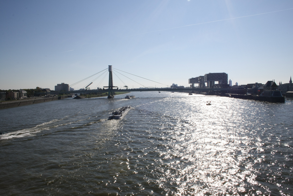 Rhein in Köln