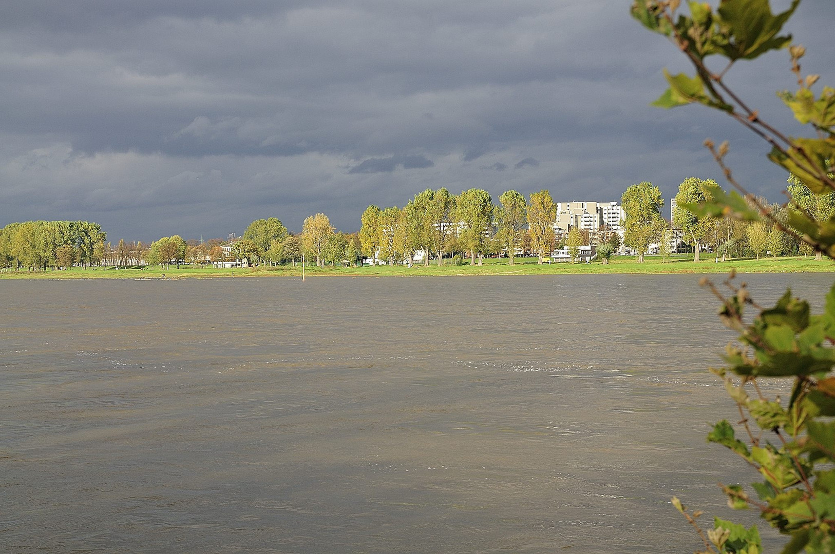 Rhein in Köln