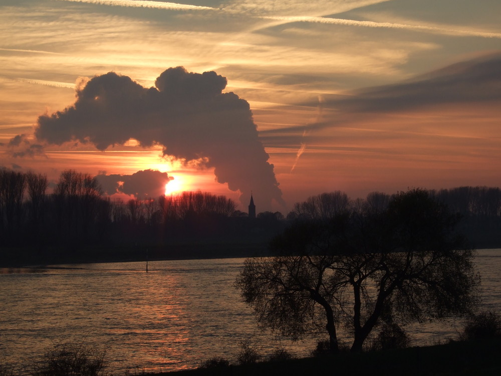 Rhein in Monehim am Rhein