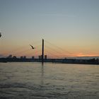 Rhein Kniebrücke Düsseldorf